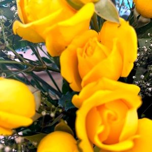 Meet your Posher, Mary lou